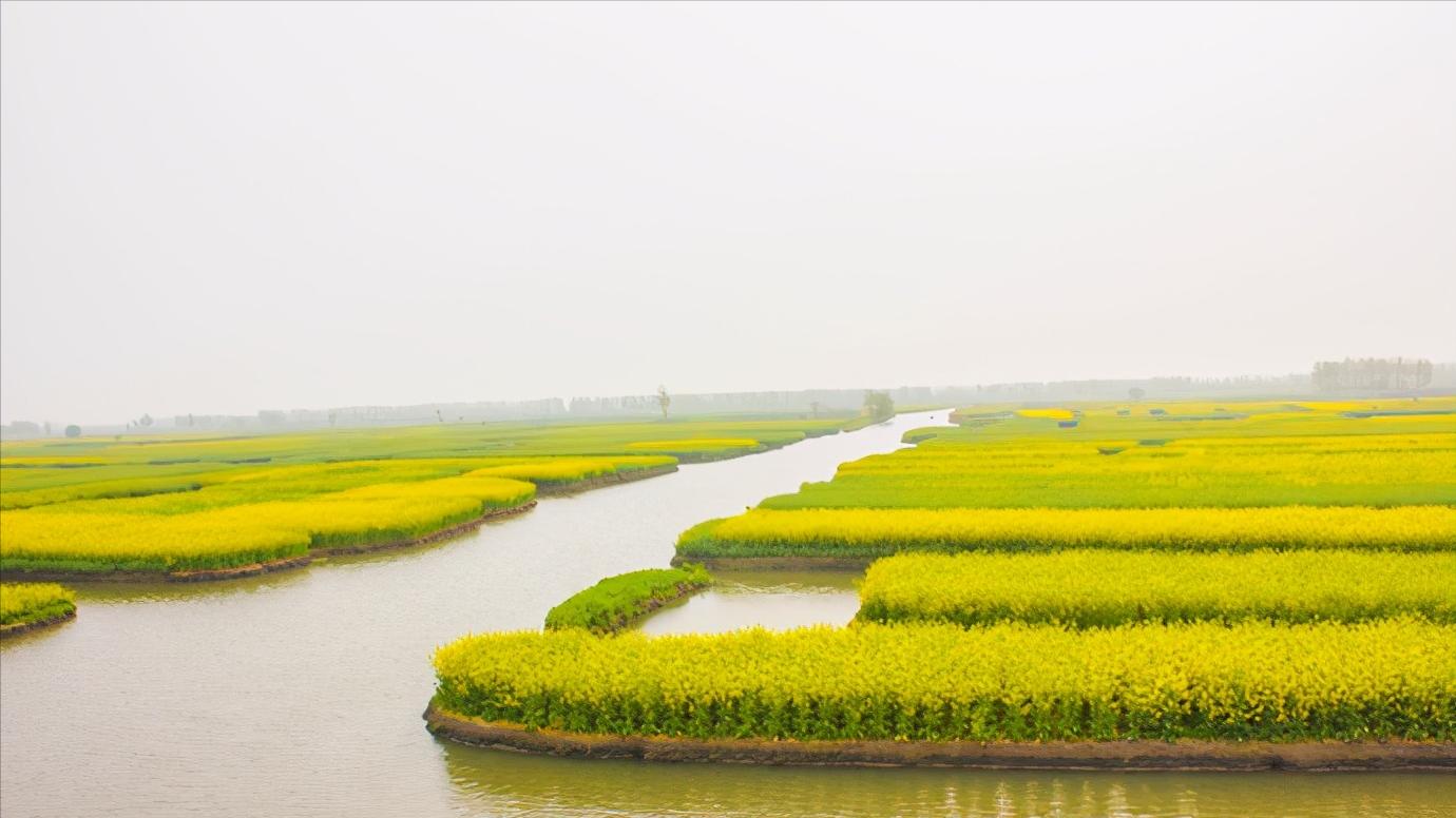 江苏省泰州市区域划分图,江苏泰州市属于华南还是华东