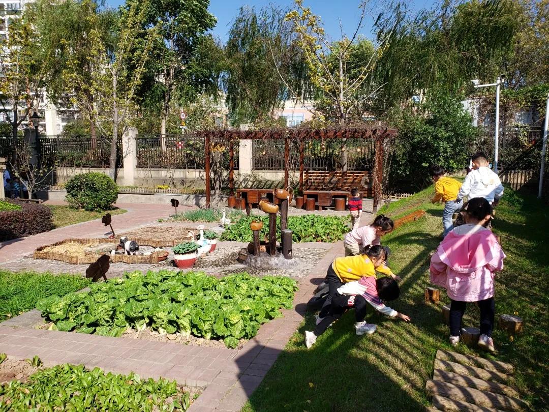 最美的风景美丽的校园,最美的风景就是校园