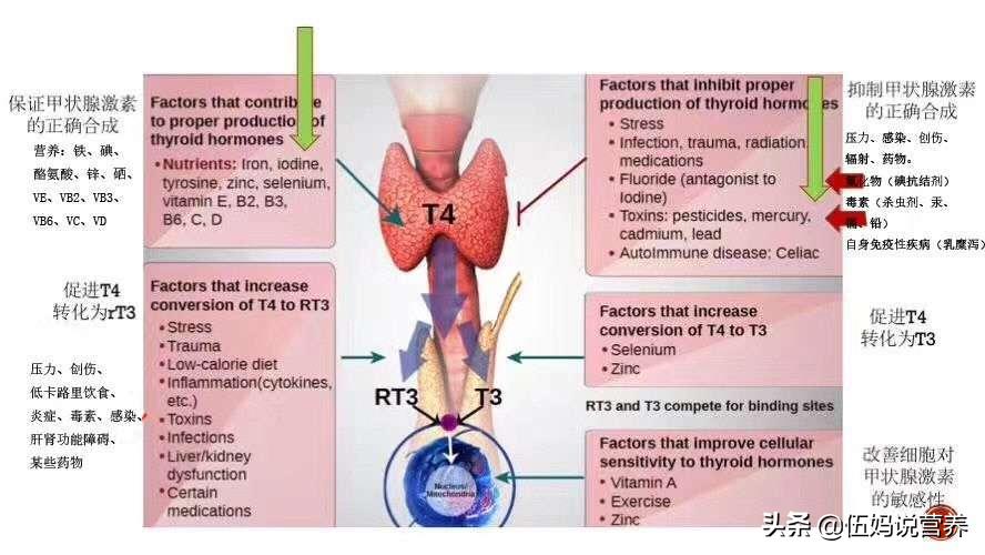 甲状腺疾病平常饮食注意事项,甲状腺疾病五大禁忌