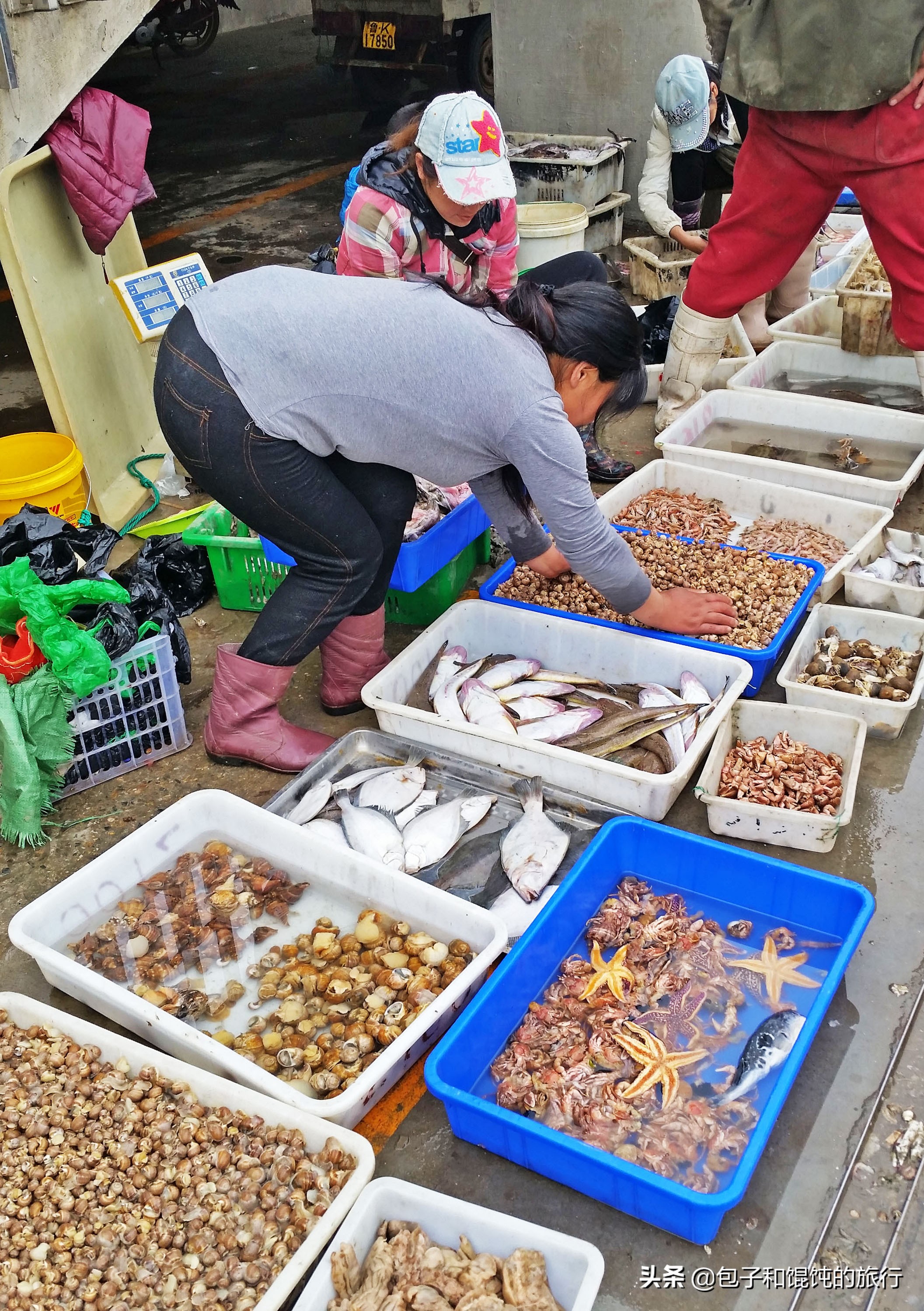 威海的海鲜便宜还是烟台海鲜便宜,威海本地人去哪吃海鲜最便宜