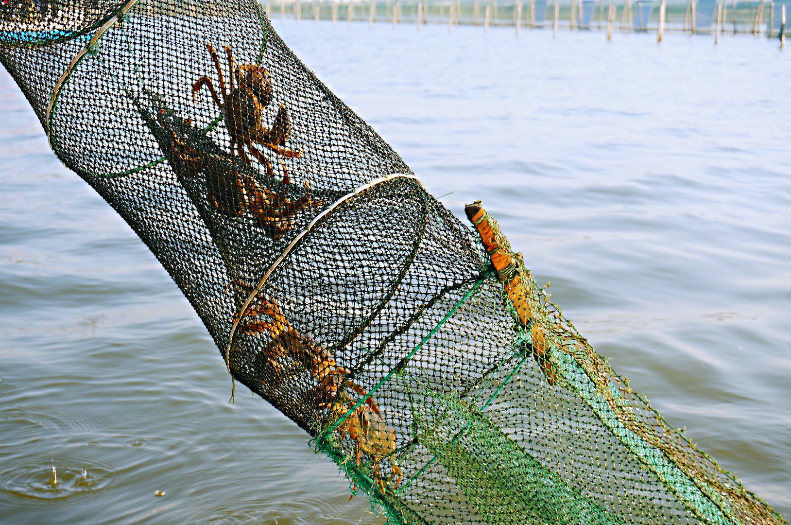 昆山出发二日游跟团游攻略,昆山吃大闸蟹一日游