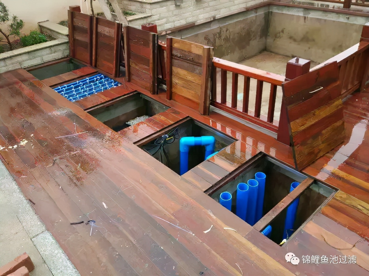 养锦鲤用过滤桶过滤系统,锦鲤鱼池沼泽过滤与生物过滤