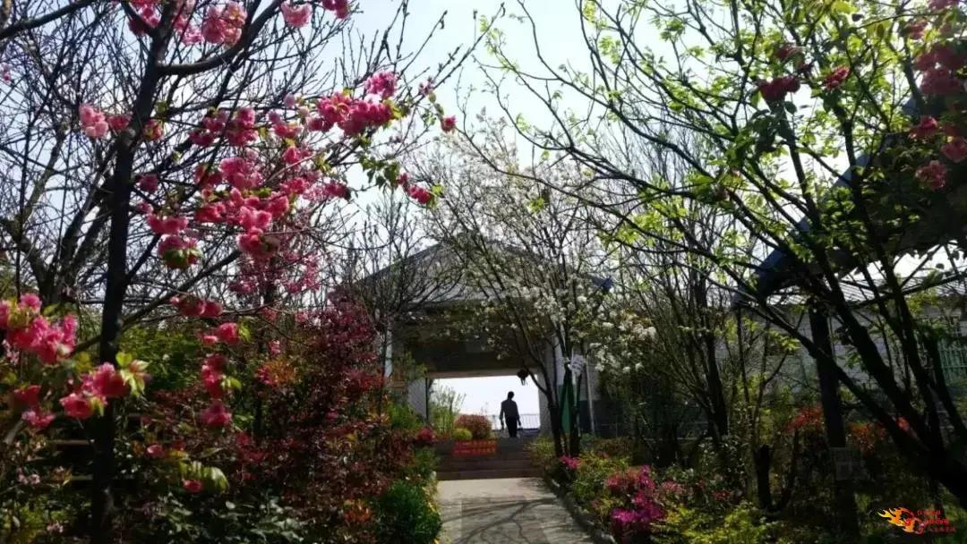 禄丰温泉一日游,禄丰晚上泡温泉地方