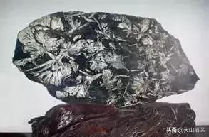 全国各地石头种类,全国各地的石头介绍