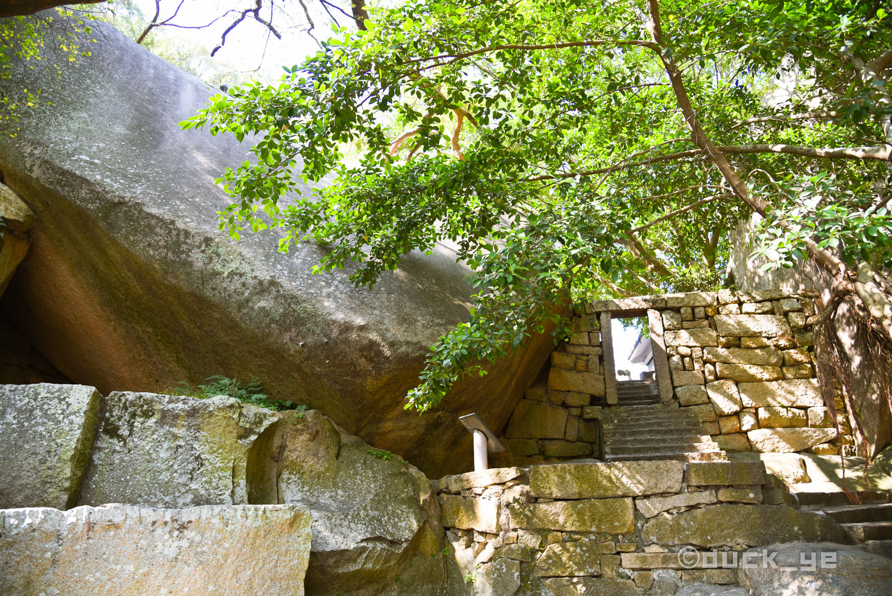 厦门本地人鼓浪屿旅游攻略,本地人带游客去鼓浪屿去哪个码头