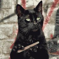 你或许知道COSME人气有多高，但你不知道它的水有多深