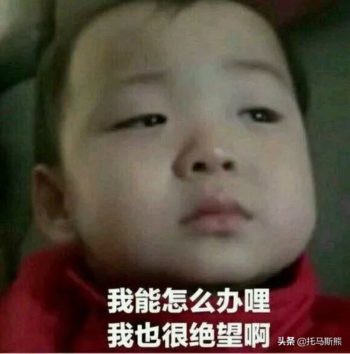 罗马人的故事15-17,罗马人的故事十二卷