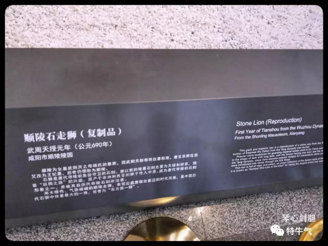 赤金走龙陕西历史博物馆,陕西历史博物馆抢票攻略