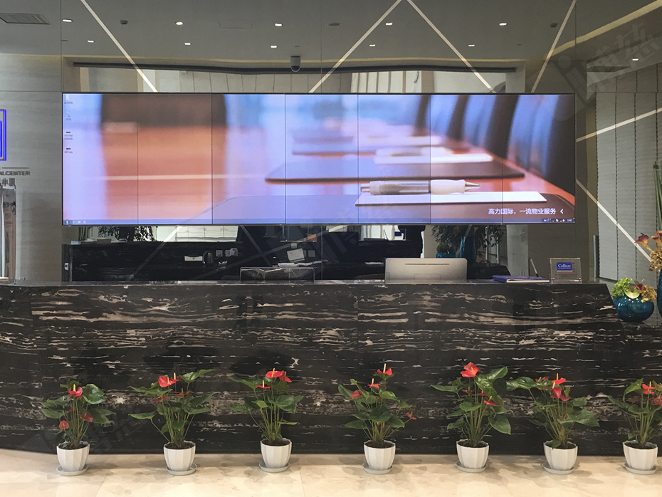 博川一套展示系统入驻四川自贡信息科技有限公司