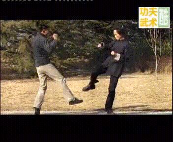 经典武术格斗技巧,各种武术格斗技巧