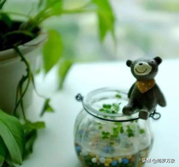 冷得受不了发的朋友圈的幽默句子,情人节发朋友圈简短幽默搞笑句子