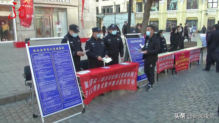 哈尔滨有关狗的政策条例,哈尔滨哪些狗不能办狗证