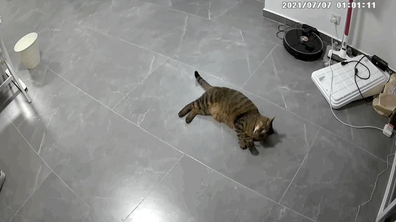 一场漏水引发了思考，居家必备的360摄像头体验分享