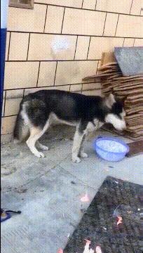 喜欢很久的小哥哥,喜欢了很久的小哥哥