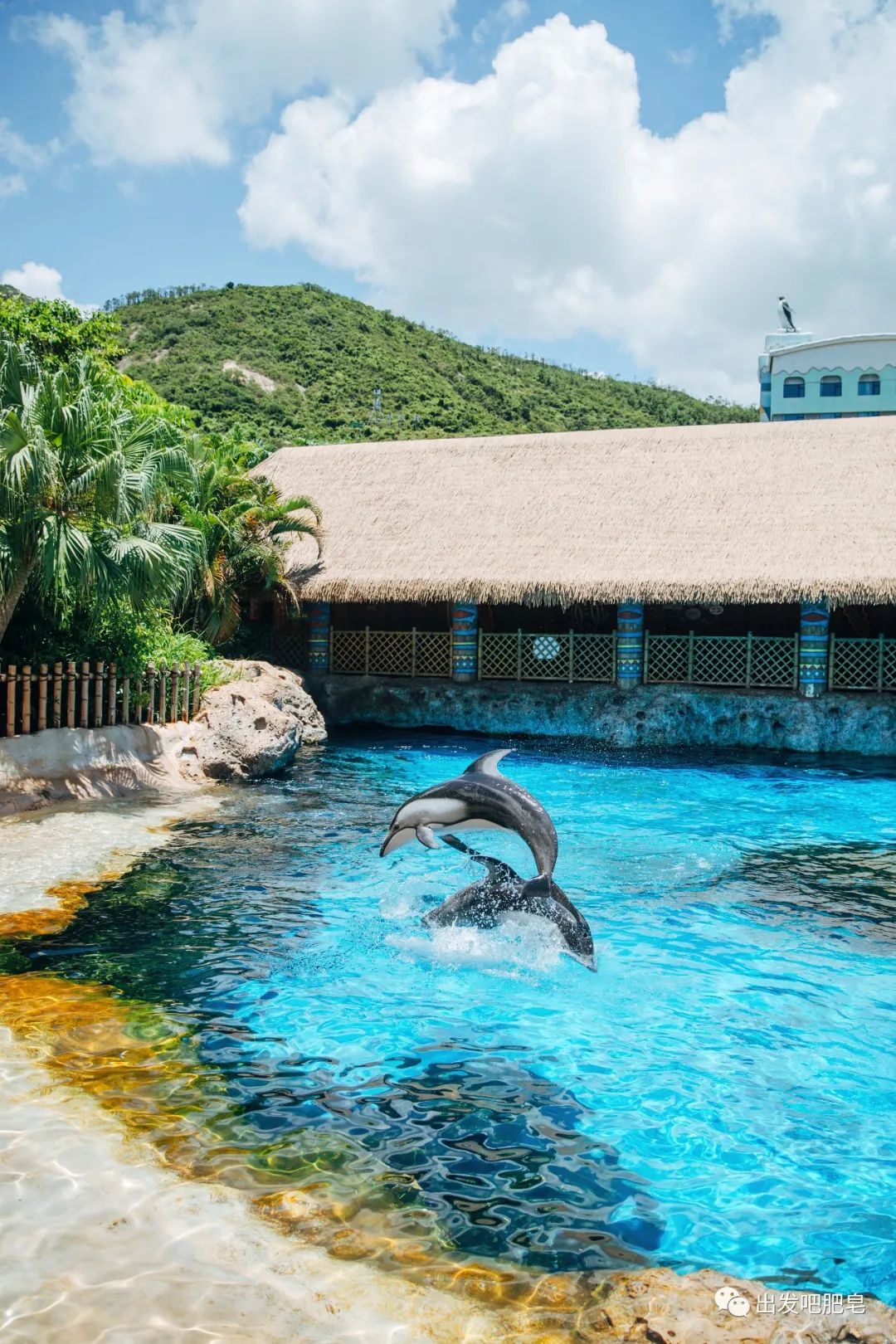 玩转珠海长隆全攻略,玩转珠海长隆海洋王国全攻略