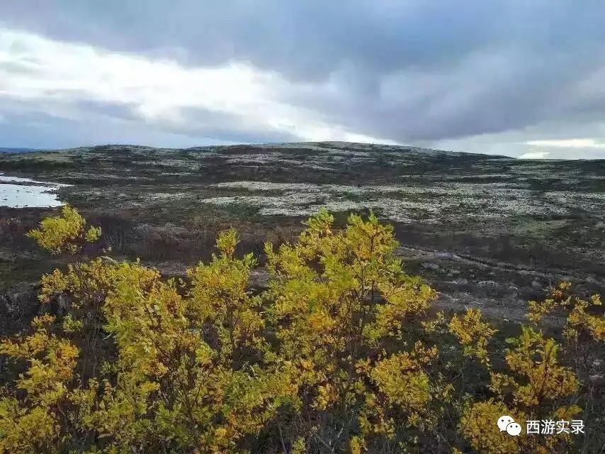 误闯挪威边境,他和这辆车最终都被遣返
