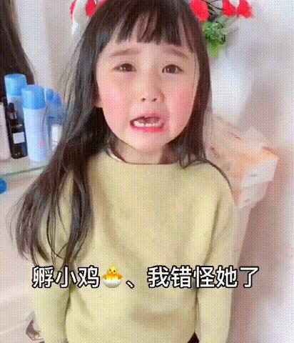 怎么给孩子养一只宠物狗,孩子不听话怎么养宠物狗
