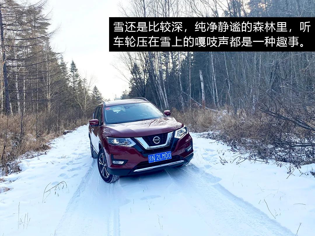 10款奇骏跑高速真实感受,20款奇骏长途感受