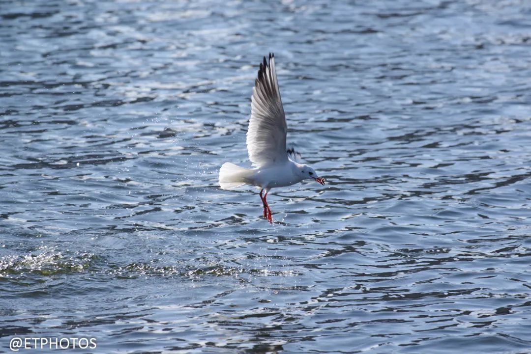 最后一代全画幅单反,目前最值得入手的全画幅单反