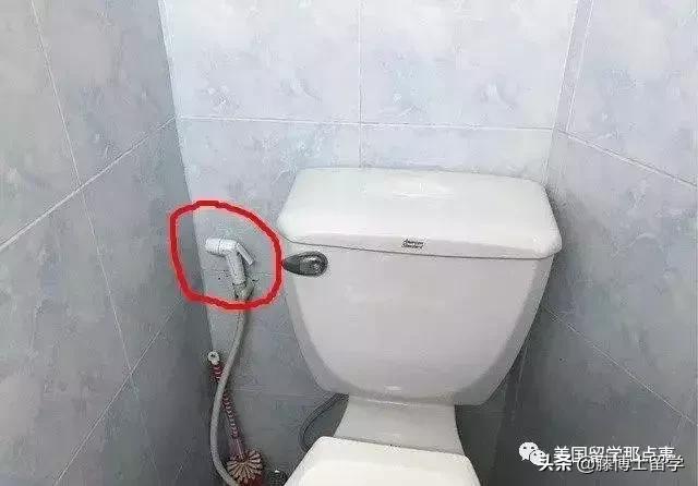 老外眼里中国留学生,老外评价各国留学生