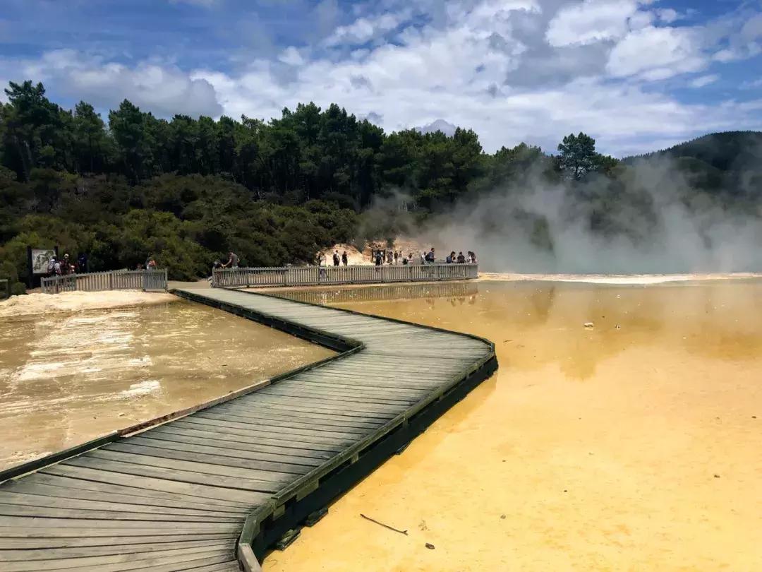 比国内油价还高三四块！这地方奔驰不如日系车受欢迎！