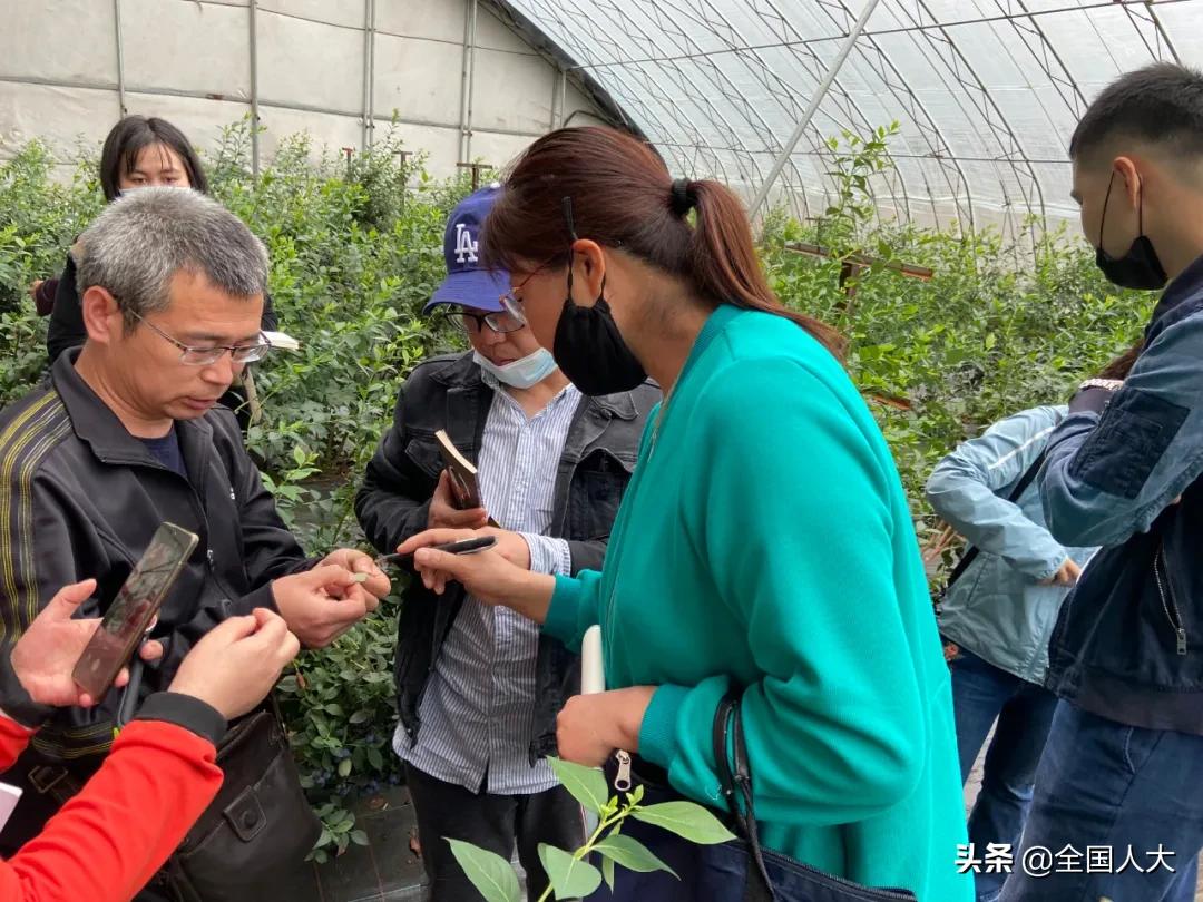 王作英：汗水撒沃土科技铸丰收