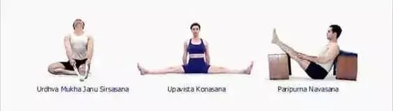 常见的艾扬格瑜伽体式,艾扬格瑜伽23个基本体式
