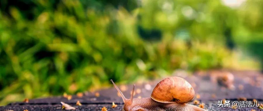 避开这九个雷区,避开这十个坑让你脱颖而出