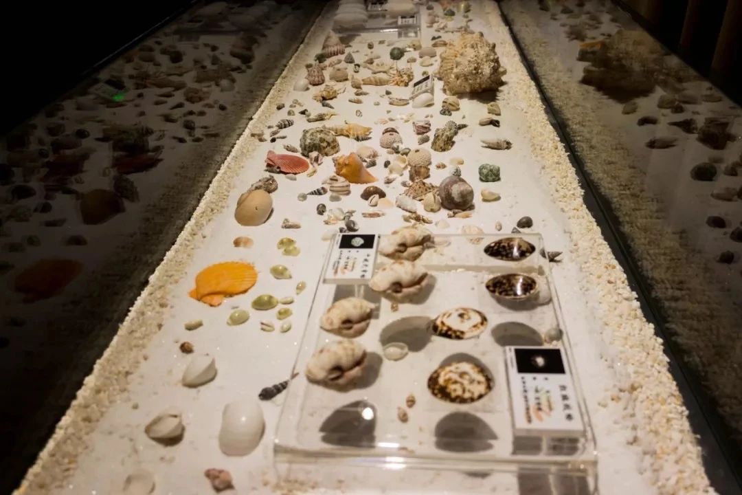 深圳这27个热门游玩地，坐2号线全都能到