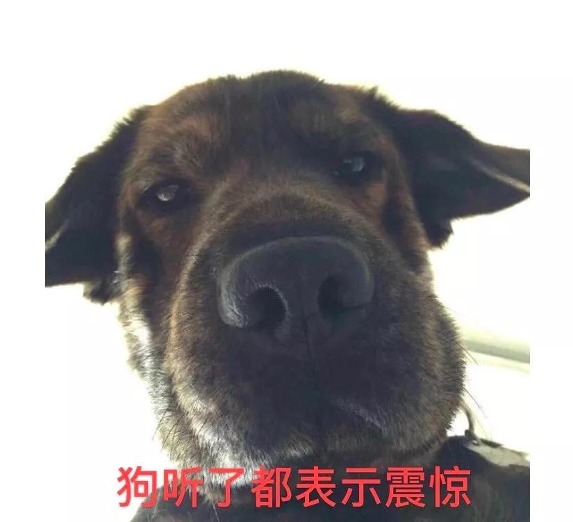 中国足球比赛爆笑解说,中国足球好笑总结