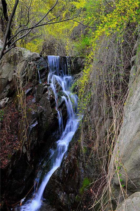 媲美四川九寨沟！山东这些地方野趣十足，承包夏天90%的清凉！