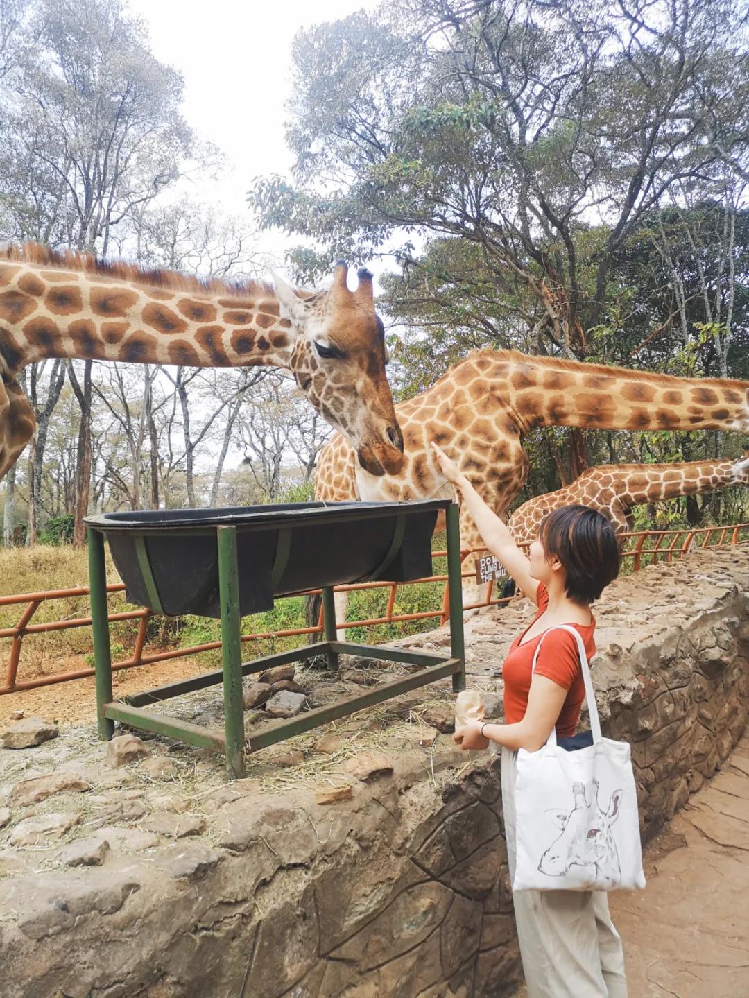 十年后农村女孩逆袭成为女总,一个农村姑娘的十年从乡村到城市