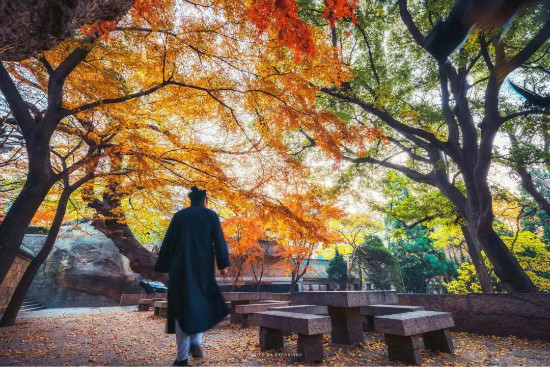 大咖|一位60后教授的崂山两日游