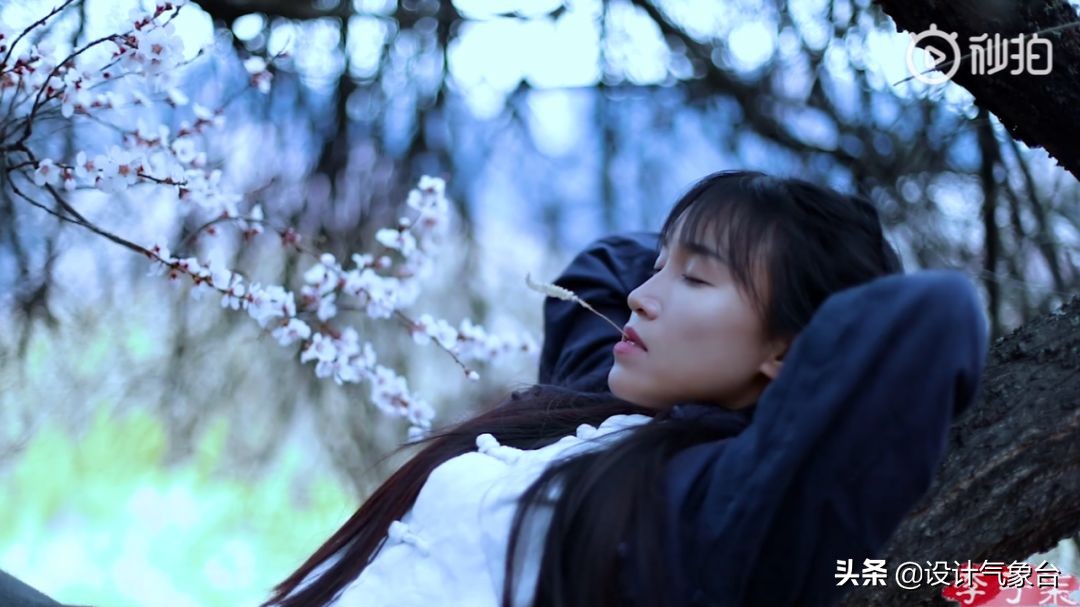 李子柒生活大揭秘,多少人羡慕李子柒的生活