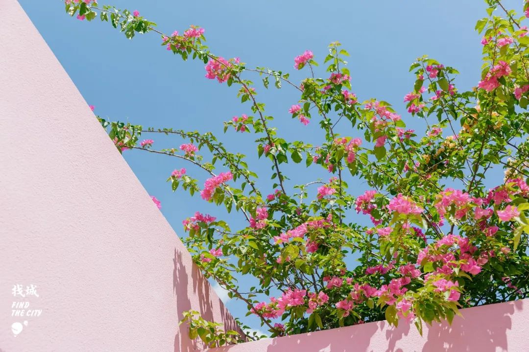 南宁人去隆安玩,南宁人去柳州玩