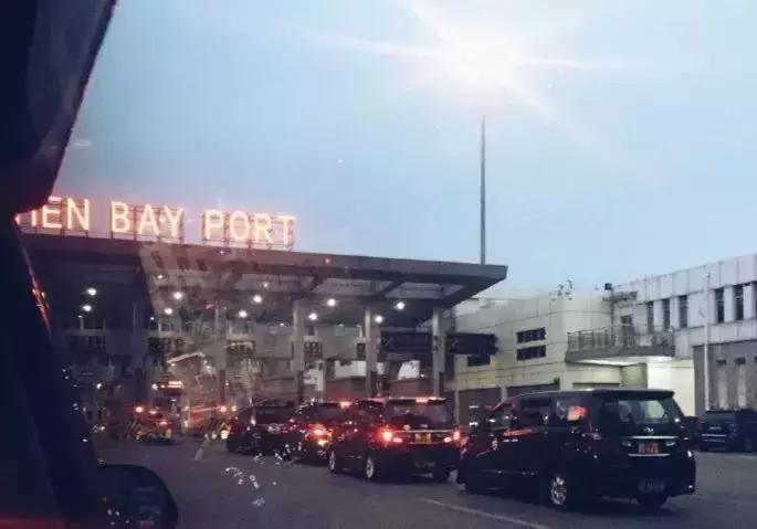 做了15年宠物服饰,这次我们做了个萌宠试衣间|它它李伟波