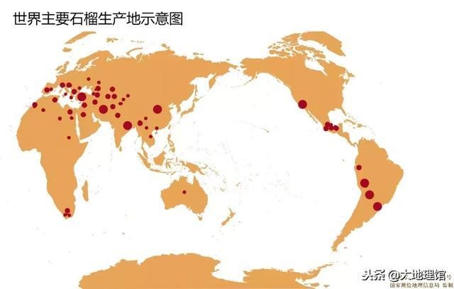 石榴传奇,石榴的传奇故事