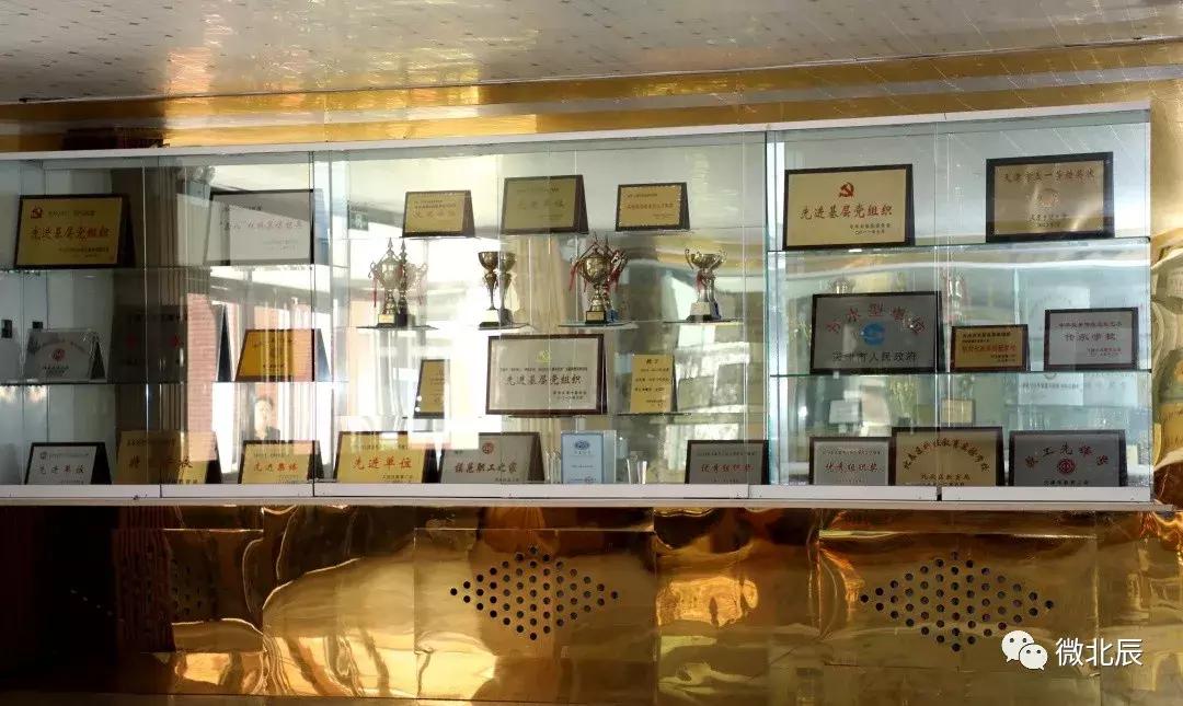 华辰学校荣誉背后的奥秘,我们都是追梦人高一