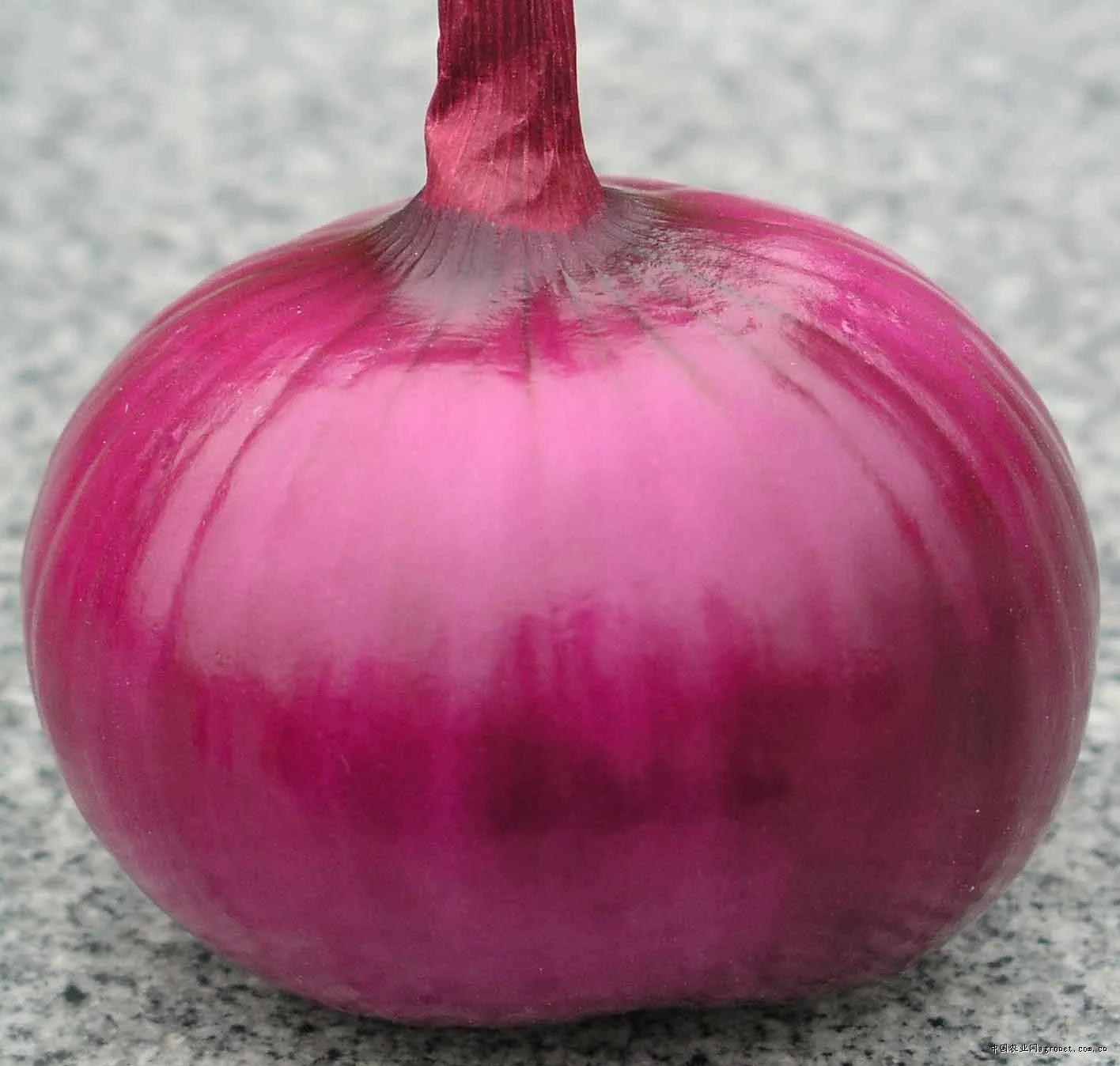 四季应季水果蔬菜,一年四季的时令蔬菜水果