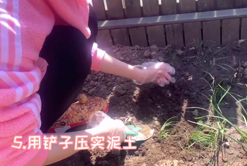 李兰迪身材消瘦格子西装率性十足,李兰迪私下穿衣搭配