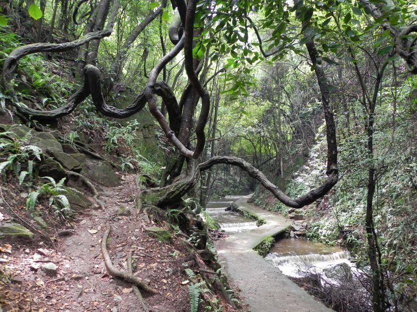 昆明60公里避暑胜地,昆明避暑胜地在哪里