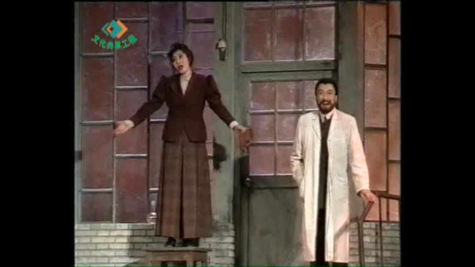 丁嘉丽和赵宝刚有合作吗,孙红雷赵宝刚出名