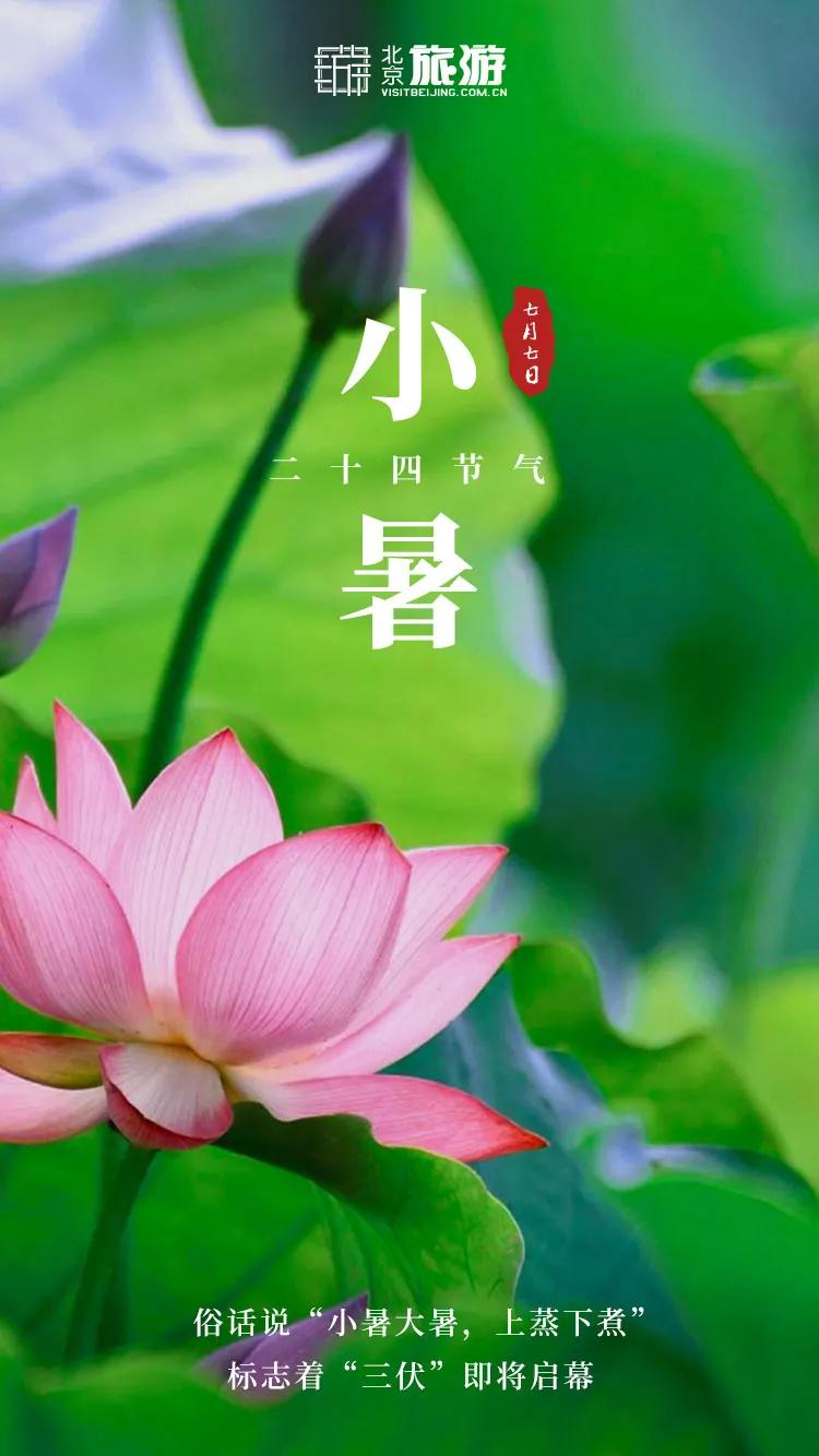 小暑福利活动,今日小暑暑热来袭如何觅得清凉