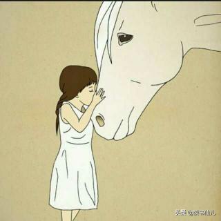 没有正式的告白悄无声息,无声告白那些关于爱的谎言