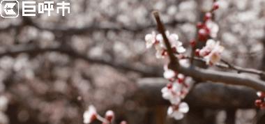 呼和浩特的人文风光图片,呼和浩特古代风景