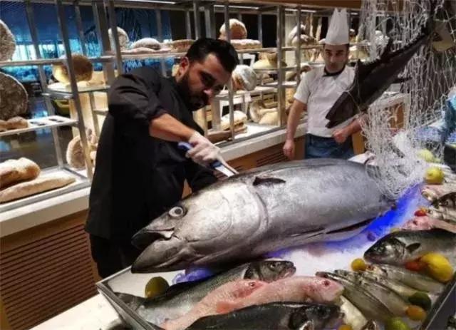 迪拜最有钱小孩子,迪拜沙特哪个有钱