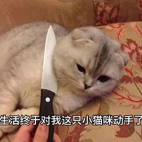 早上好真实会动的动态表情包,当代年轻人的真实现状表情包