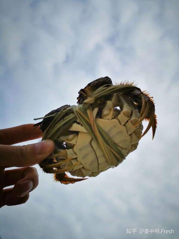 正宗阳澄湖大闸蟹几月份可以吃到,阳澄湖大闸蟹一般什么季节比较好