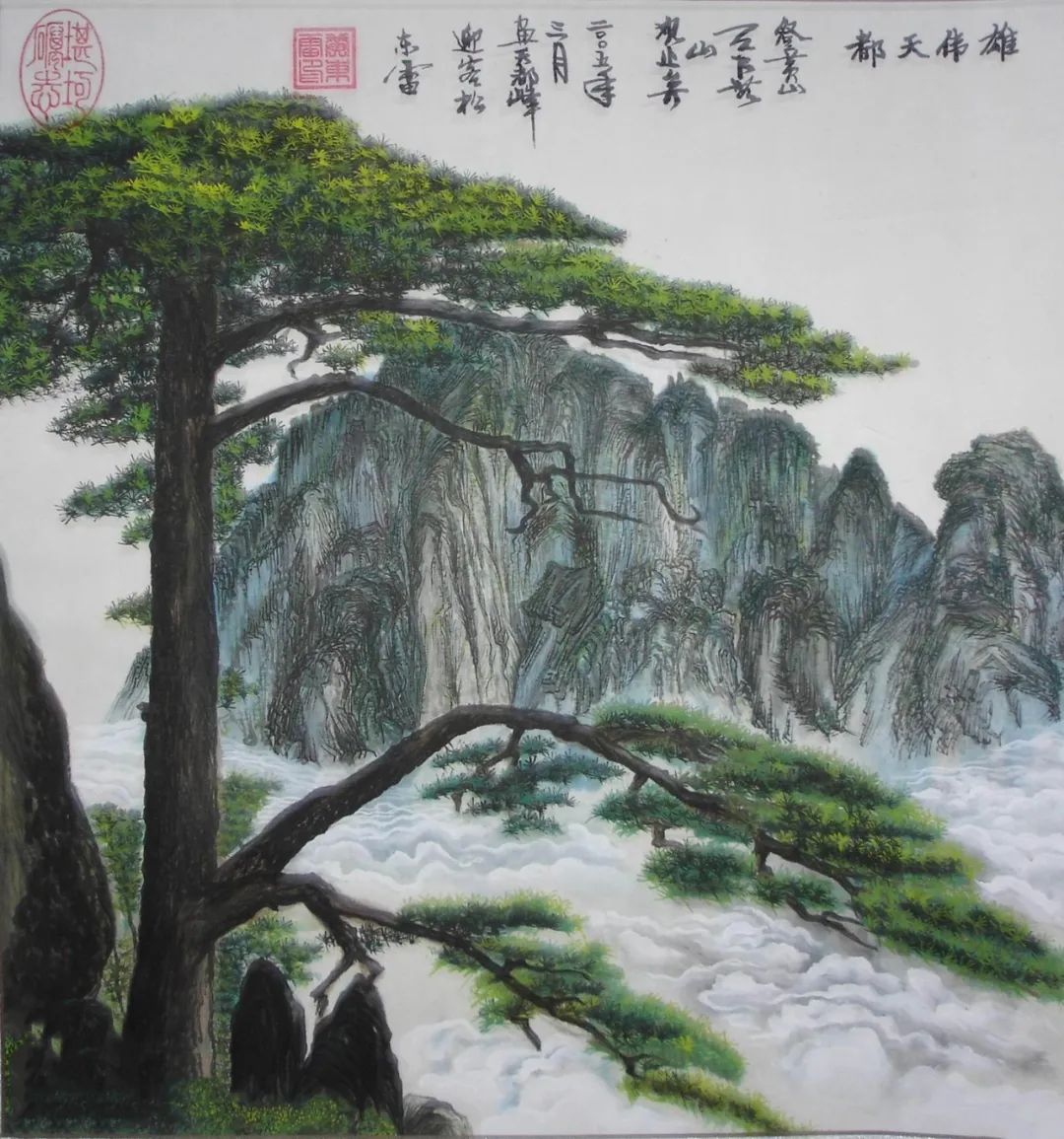 中国唯一的国宝树,中国仅存的一棵稀有的树