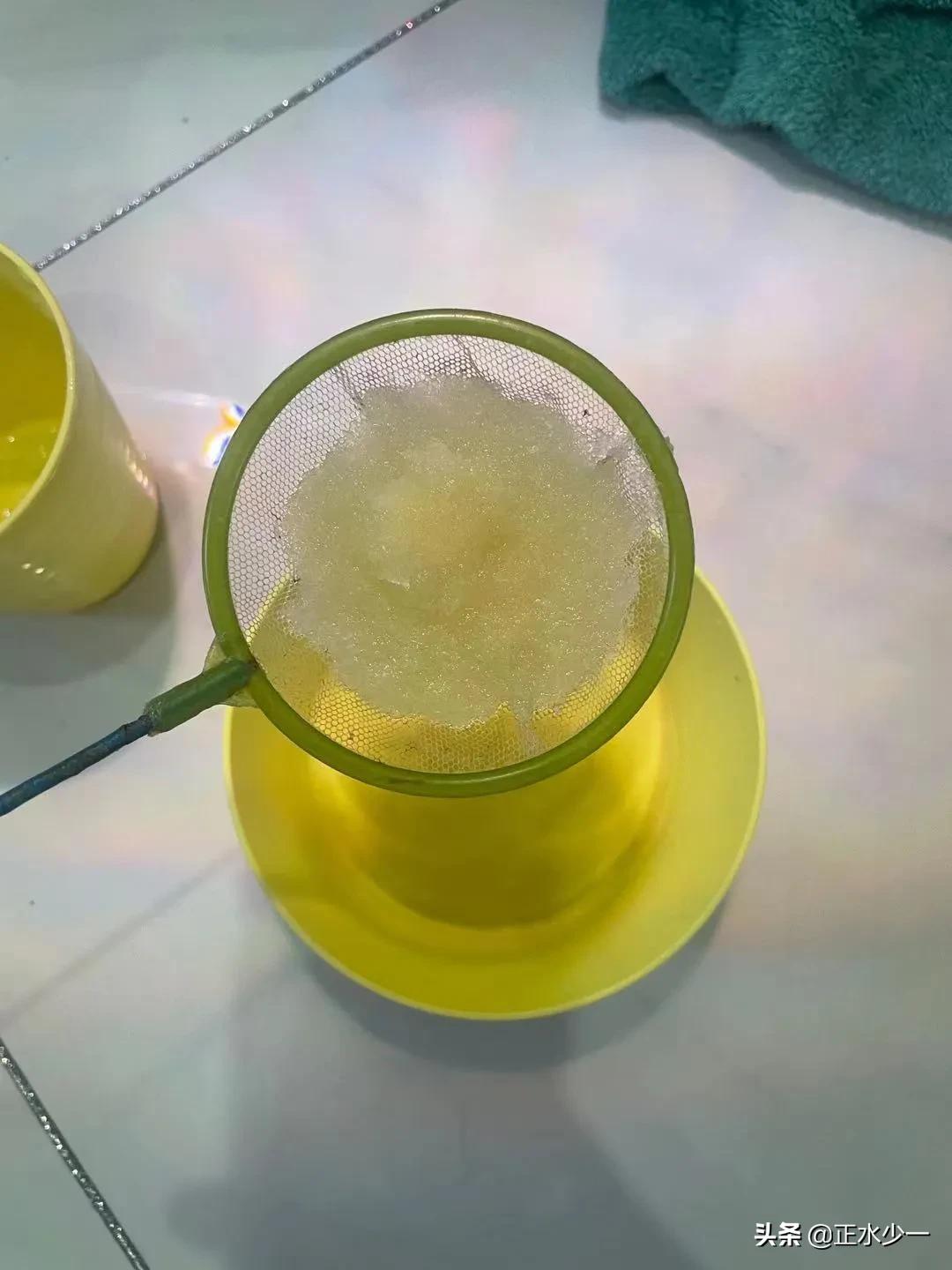 草金鱼肠炎停食几天,金鱼肠炎用土霉素需要停食吗